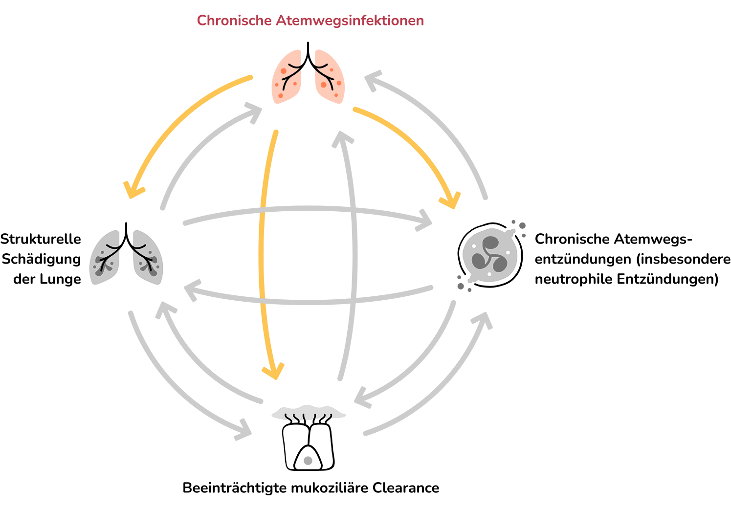 Chronic Airway Inflammation: An icon representing inflamed airways in the lungs