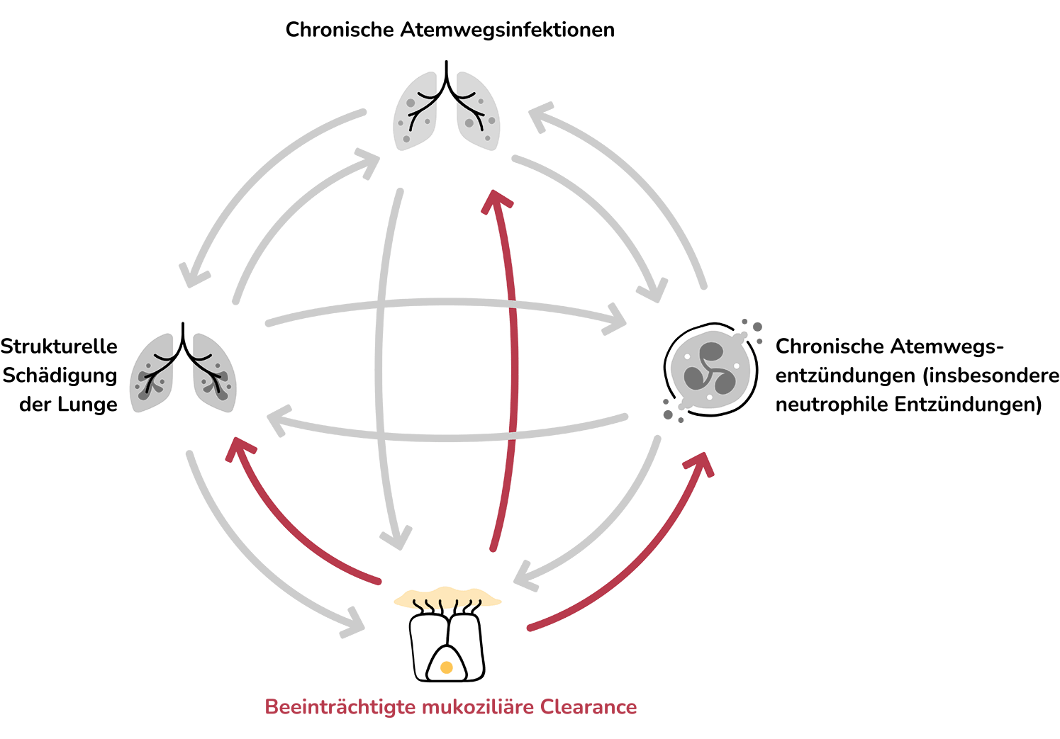 Impaired Mucociliary Clearance: An icon representing mucus buildup in the airways of the lungs