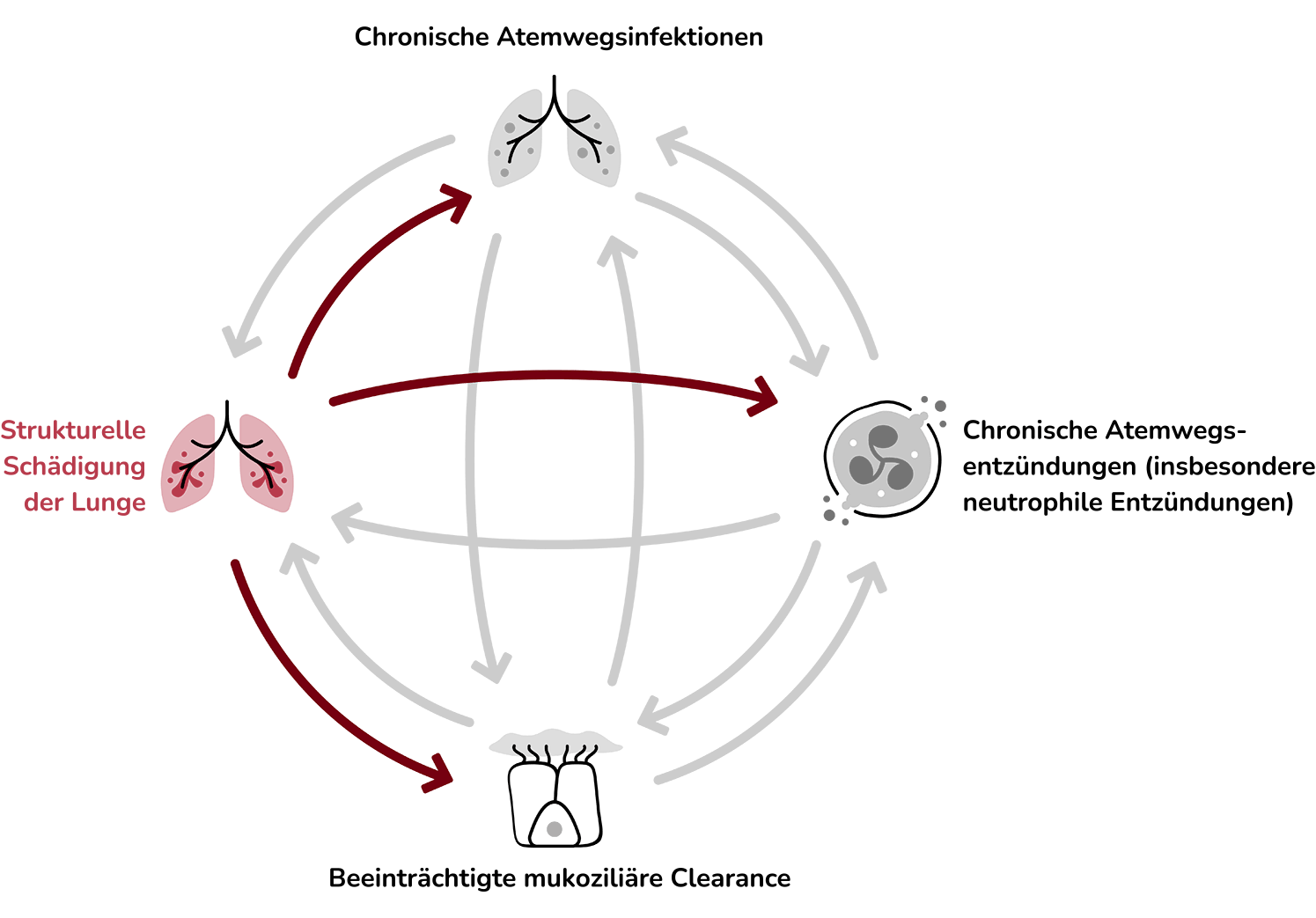 Lung Destruction: An icon representing damaged or scarred lung tissue