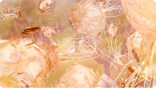 Illustrative graphic of neutrophils extending extracellular traps